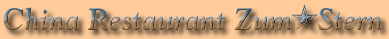 Logo Zum Stern
